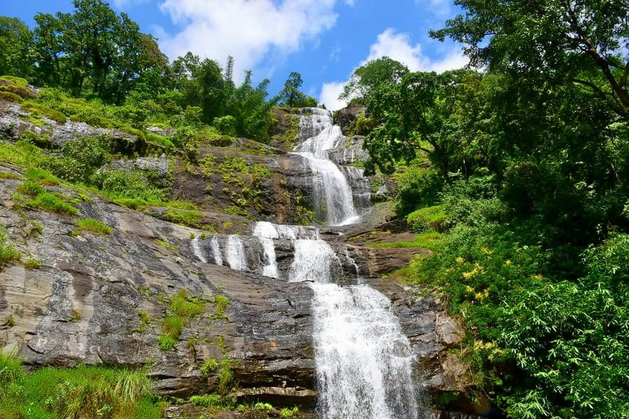 Admire the gorgeous Cheyyappara waterfalls