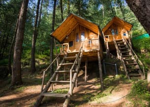 Treehouse with all the modern facilities on offer