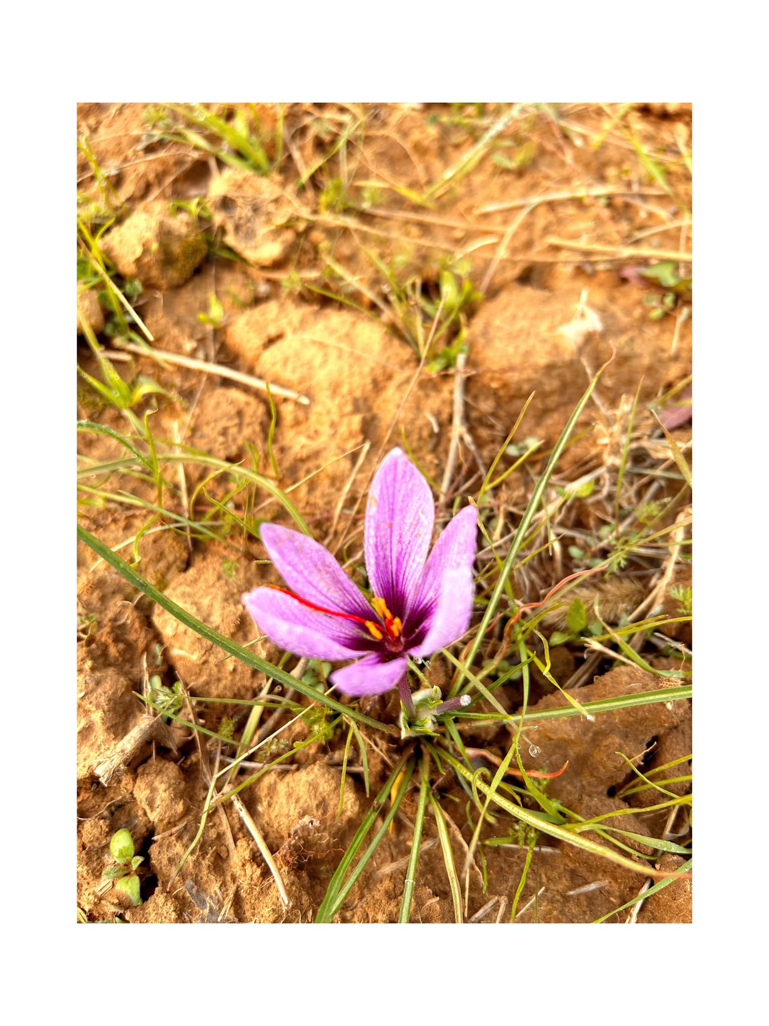 Photo from Prateek Singh's trip