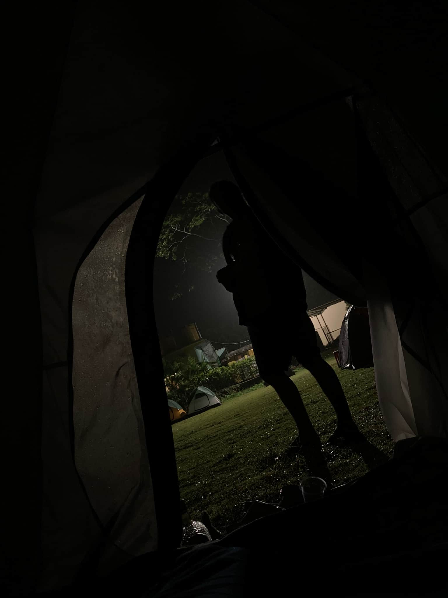 Traveller photo