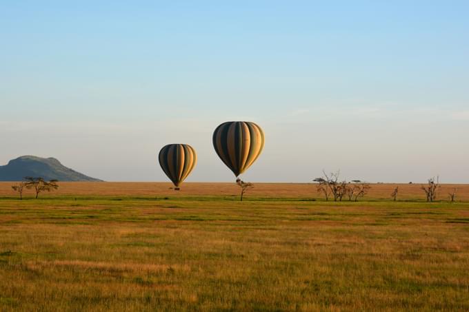 Serengeti Hot Air Balloon