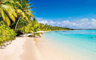 3mtxd9hd8naelfj3phaeepjbbn28 3