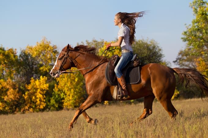 Horseriding in Dubai