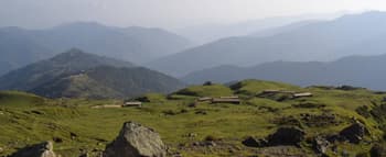 3nhpghialbgosg33hsz4nnwin8un downpic.cc image233815473