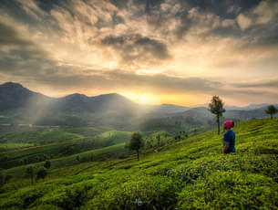 Explore Munnar in your private vehicle