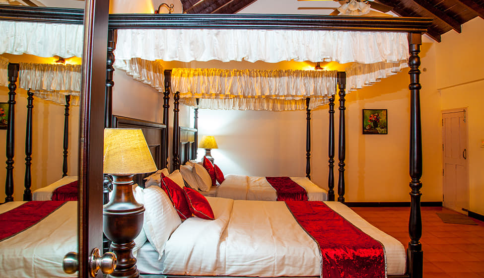 Pavanaganga Homestay, Chikmagalur Image