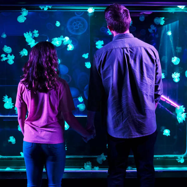 Be amazed at the secrets of the deep exhibit