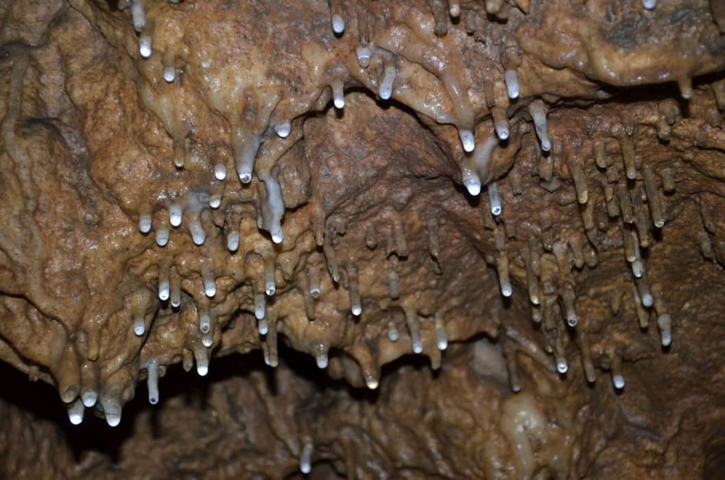 Try to experience the rich biodiversity