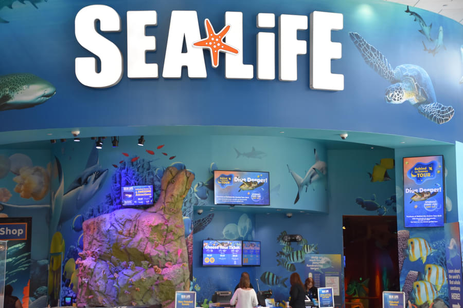 Learn from informative displays at SEA LIFE
