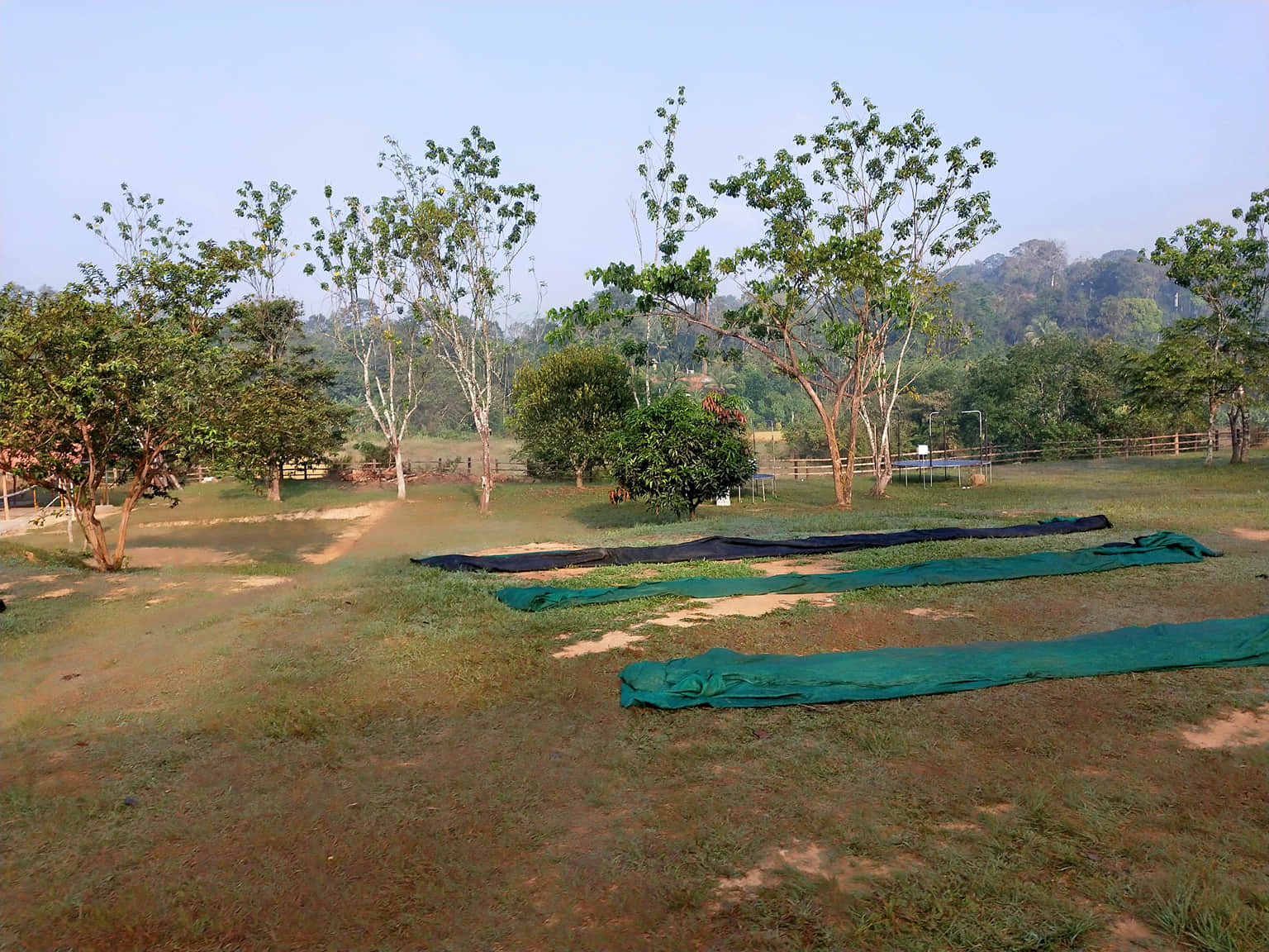 Photo from Sowmya Sowmya's trip