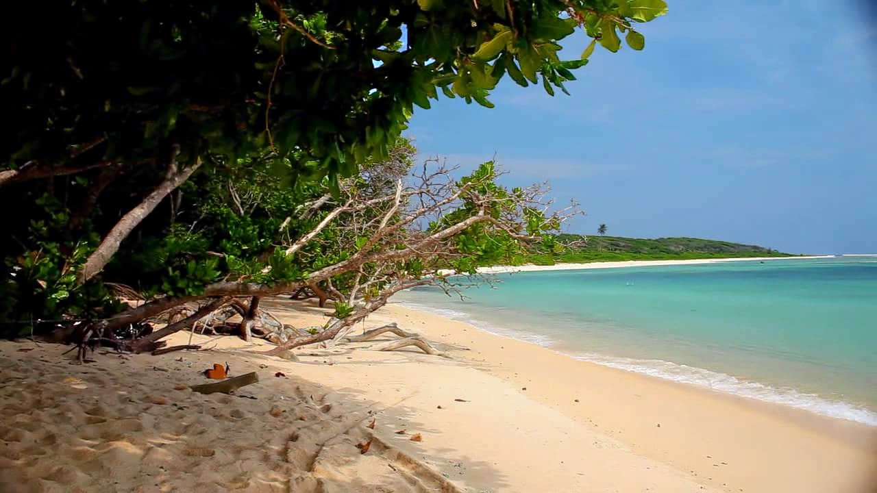 Little Andaman Island, <em>Port Blair</em>