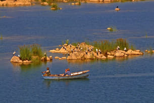 3pqqg1zjzmiemv463prjcbsrfb2q 1600169513 kenriver3