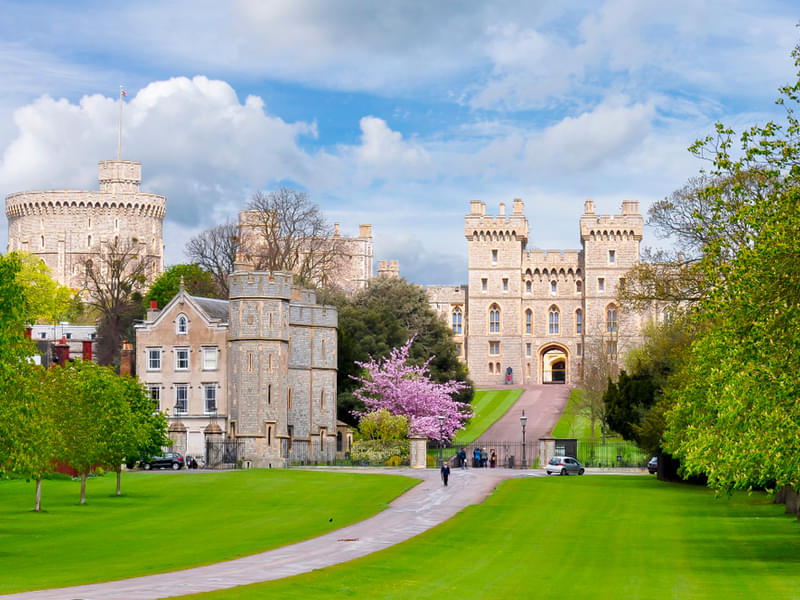 Windsor Castle and Buckingham Palace Day Tour