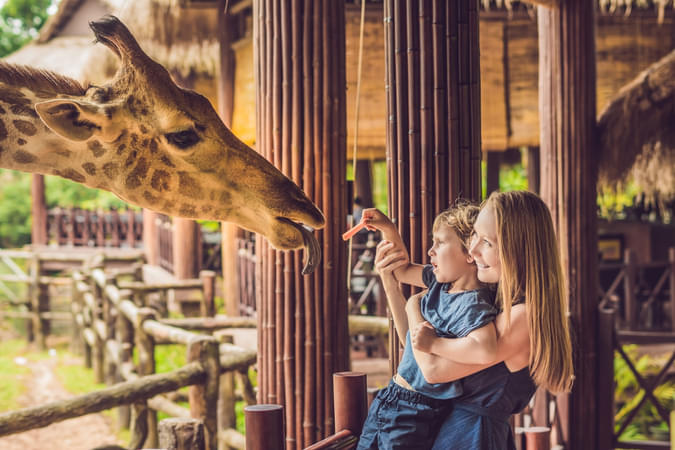 Spend some fun time with your folks at the ZSL London Zoo