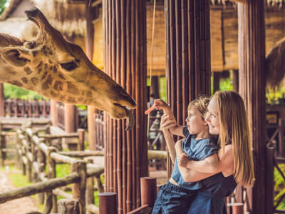 Spend some fun time with your folks at the ZSL London Zoo