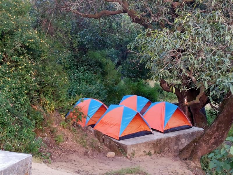 Camping At Mount Abu Image