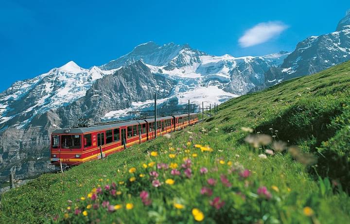 Enjoy the Breathtaking View along the Train Ride