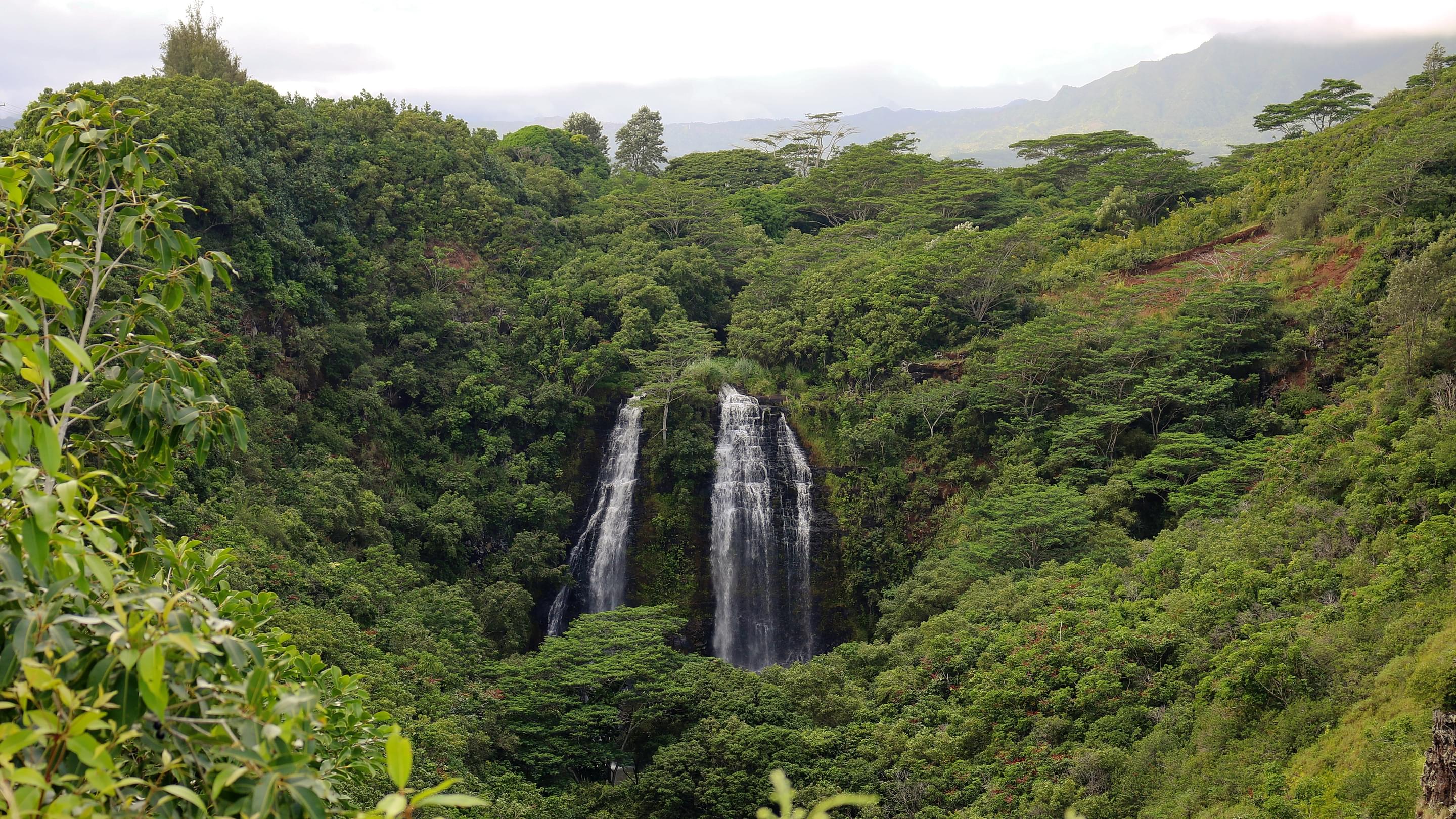 Opaeka`a Falls, Hawaii Overview