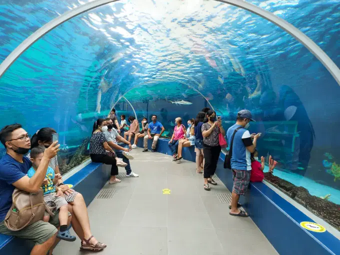 Visit the Cebu Ocean Park