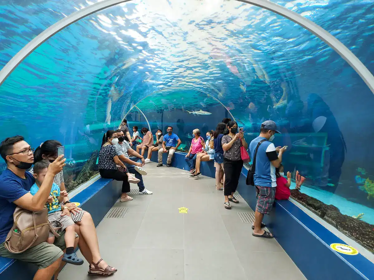 Cebu Ocean Park Tickets