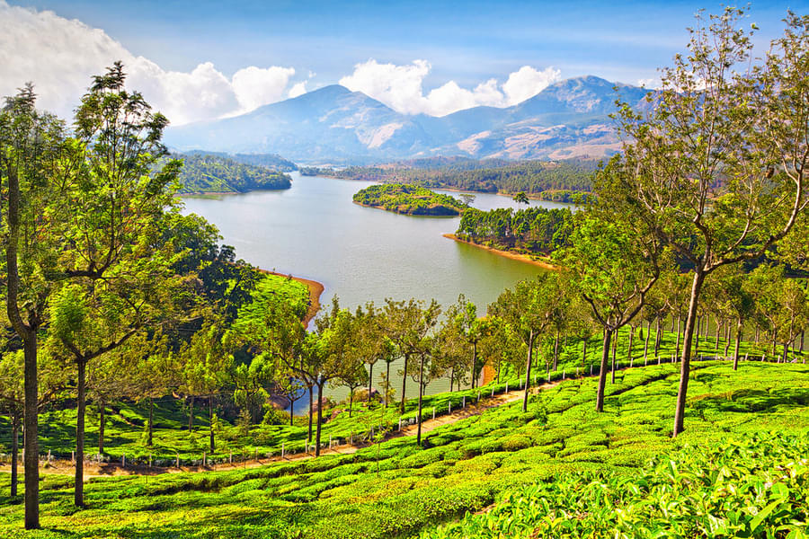 1 Night Munnar 1 Night Boat House Package Image