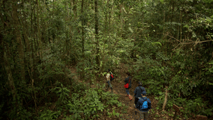 3qdgorbselcwz5f4j78506febcbe nature walk in the amazon forests in peru