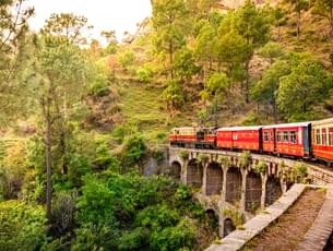 Toy train ride in Shimla, Himachal Pradesh