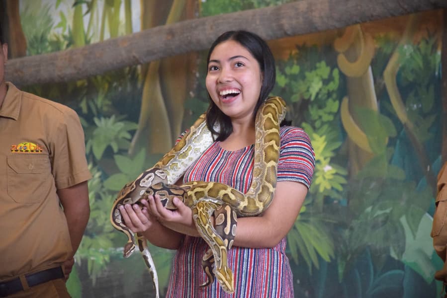 Zoobic Safari Tickets Image