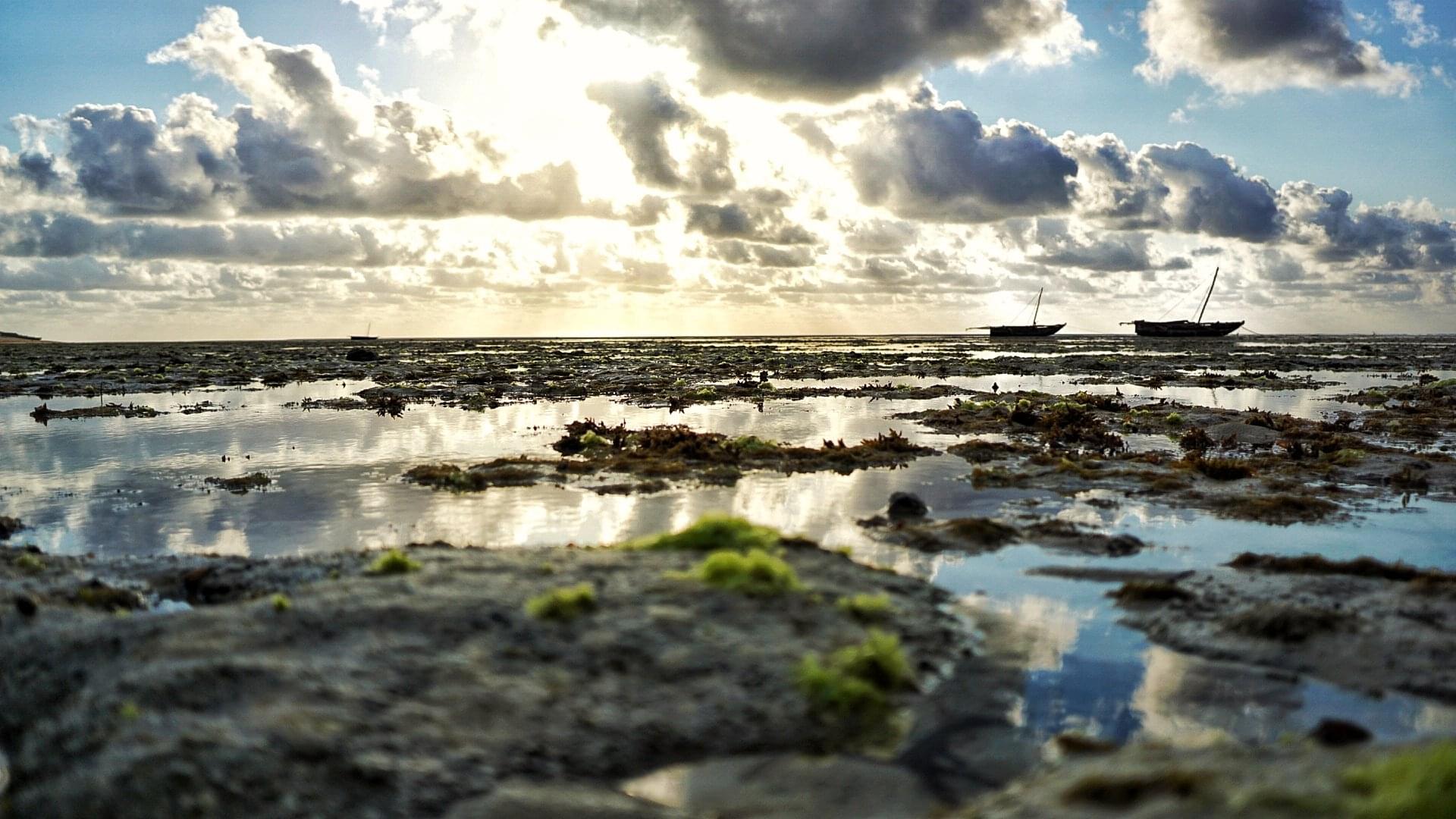 Jacaranda Watamu Bay Overview