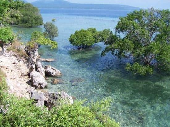 Trek Through the Park’s Diverse Terrain