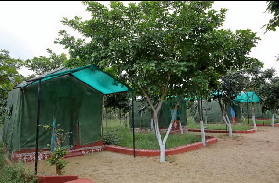 Masjid Gadda Jungle Camp, Hyderabad Image