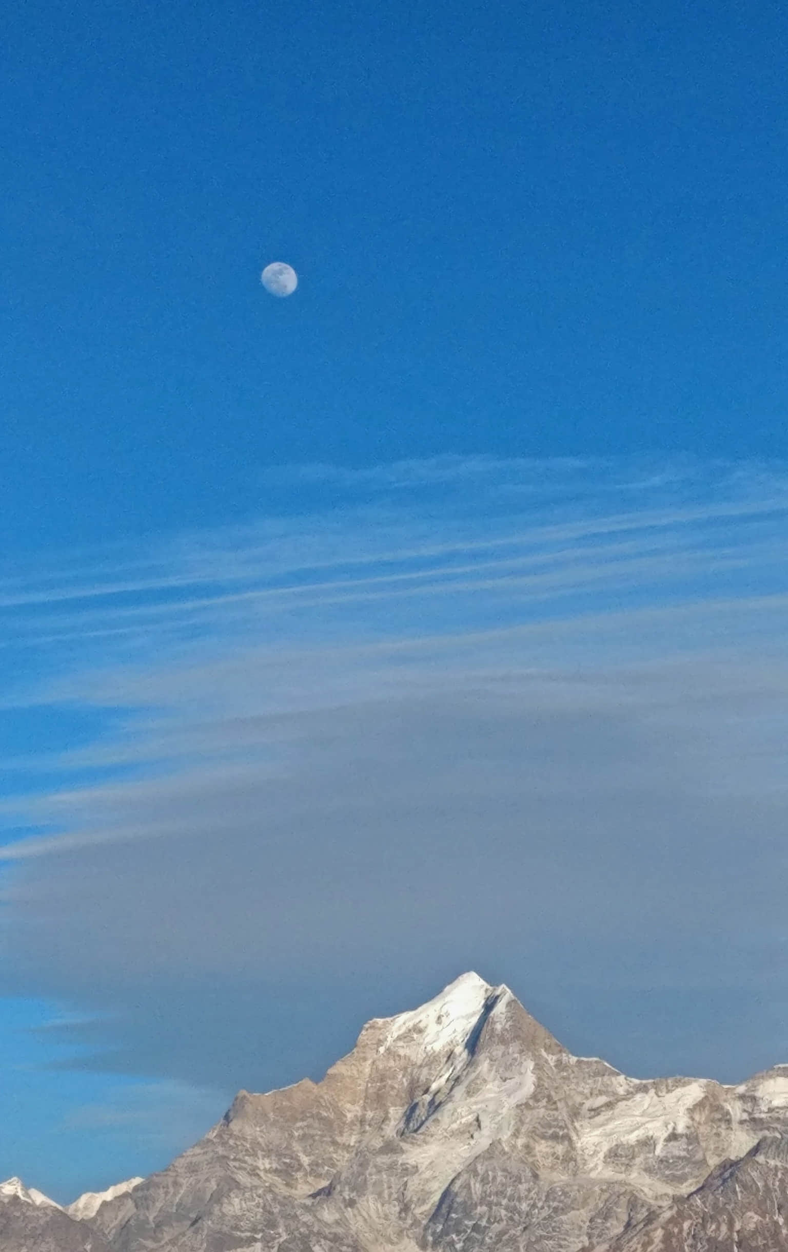 Photo from Shikhar Chauhan's trip
