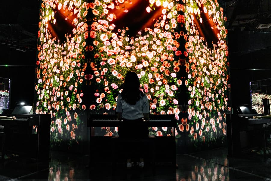 ARTE Museum Dubai Tickets Image