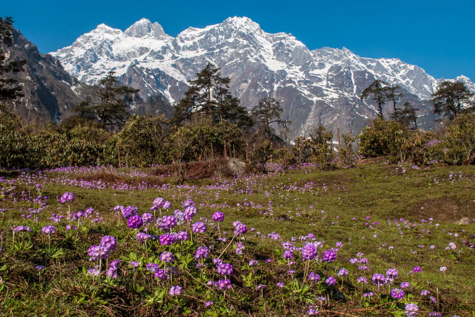 <em>Lachung</em> Tour Packages From Kerala