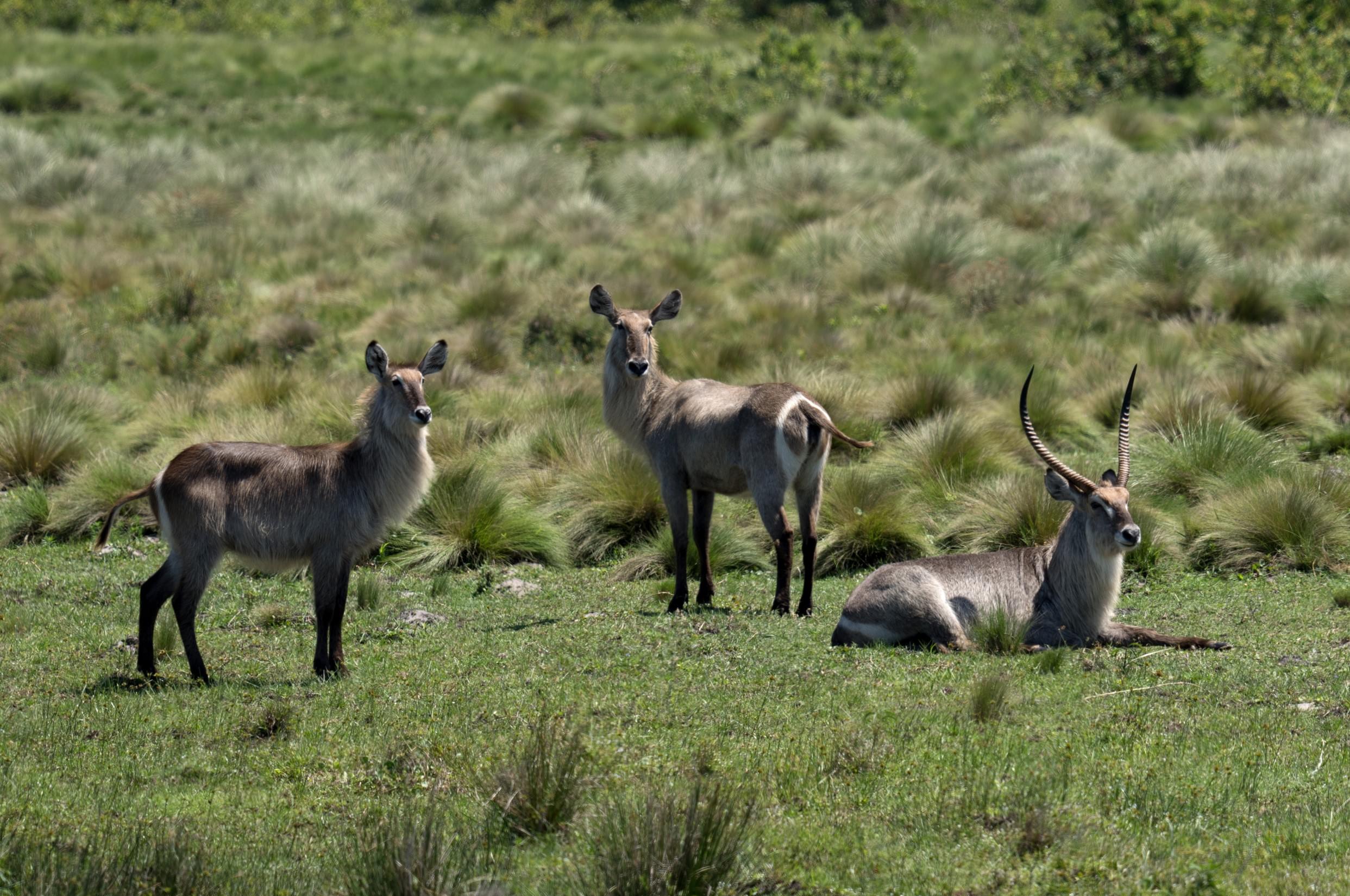 iSimangaliso Wetland Park