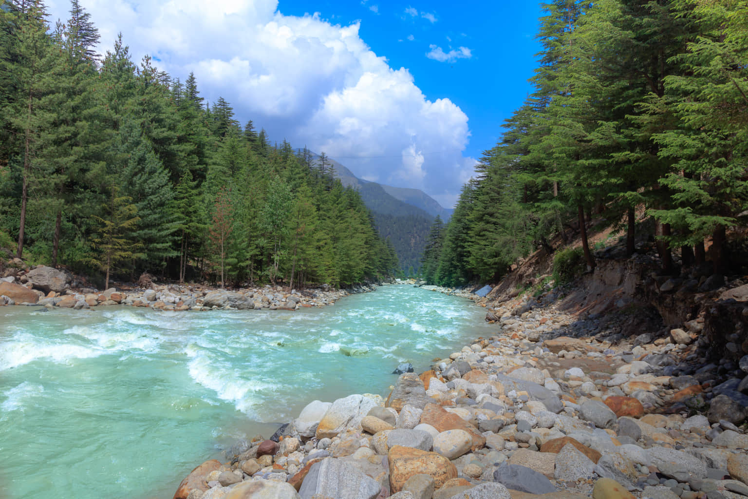 Relax by the river