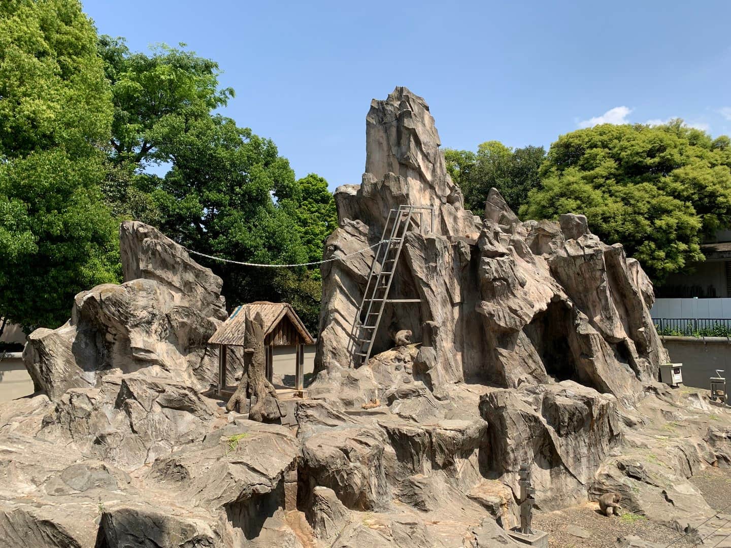 Watch the monkeys at the Monkey Mountain