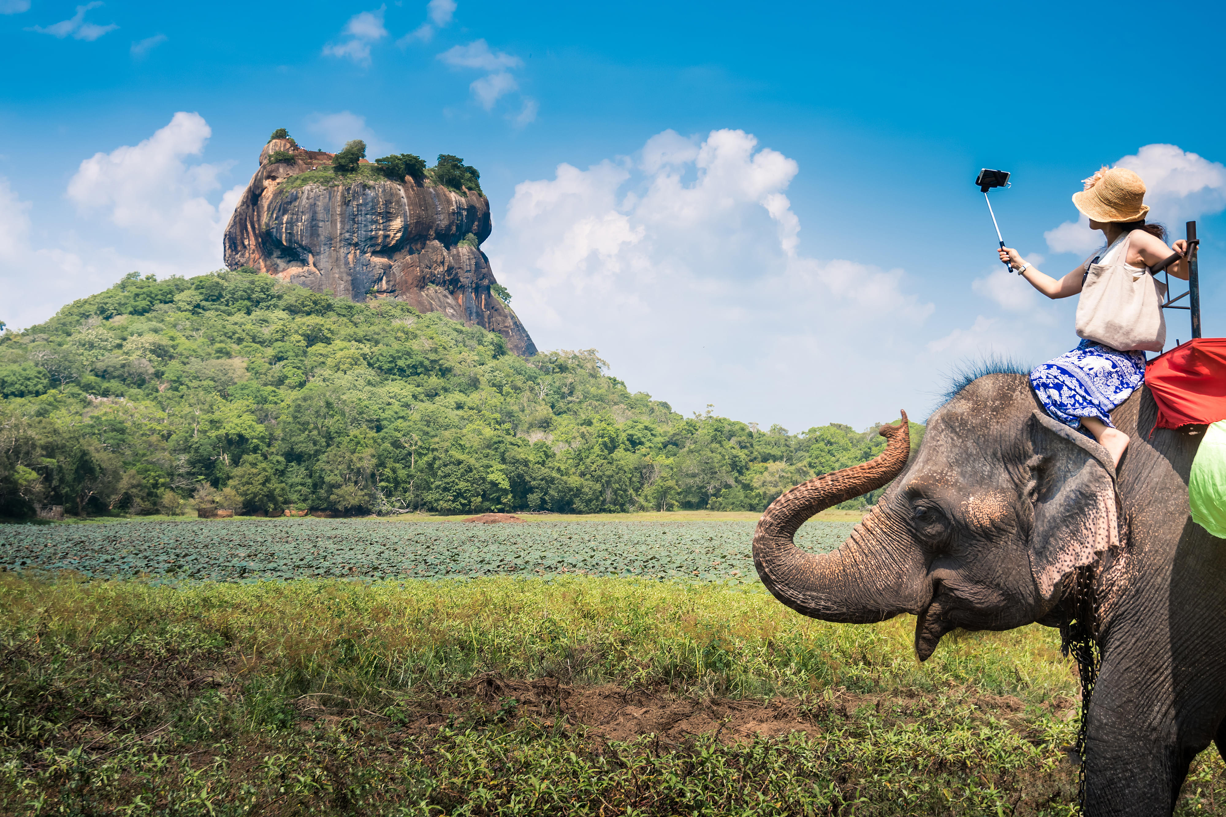Things to Do in SriLanka