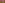 Dubai Miracle Garden Tickets Image