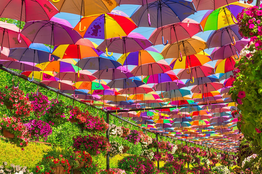 Dubai Miracle Garden Tickets Image