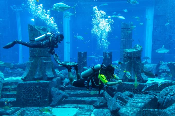 Scuba Diving in Dubai