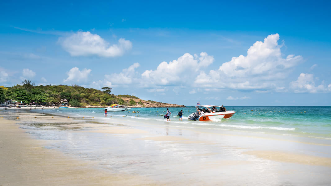 2 Days 1 Night Pattaya Tour Package Image