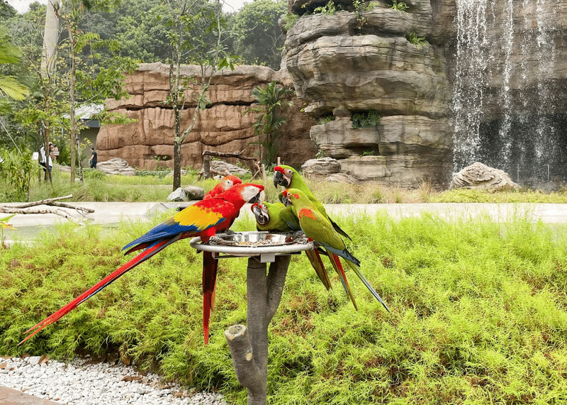 Bird Paradise Map