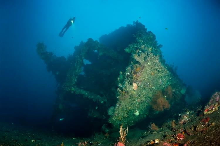 Wreck Dive at USAT Liberty Shipwreck