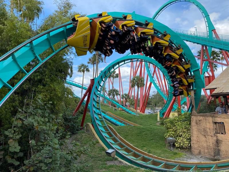 Busch Gardens Tampa Bay Tickets Image