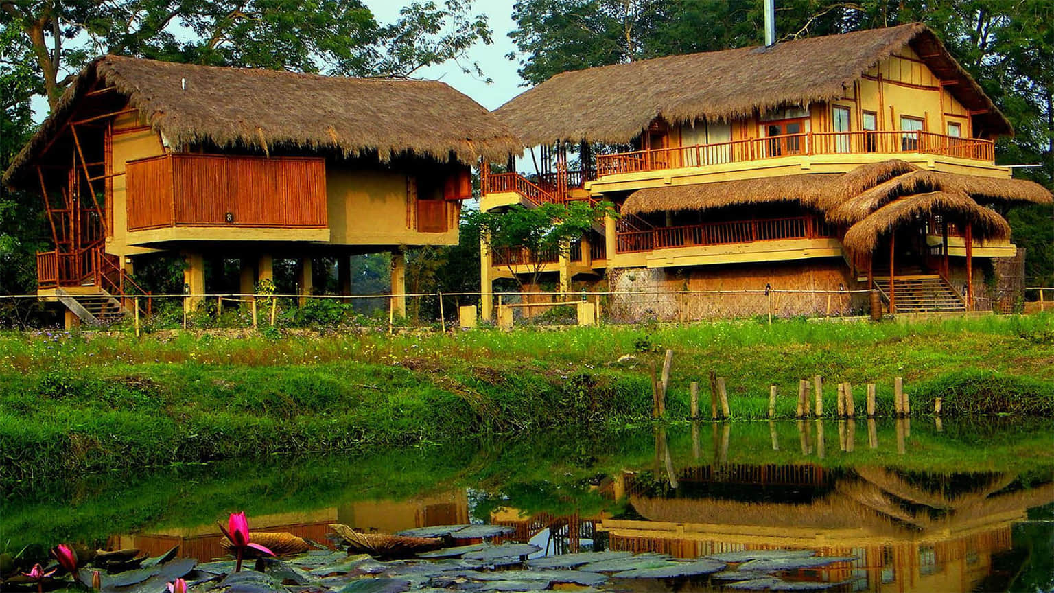 Best Nature Stays Tours