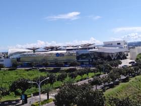 3wzbpm0tgyr5s1zfla4cgeksu34u 2880px cebu ocean park (07 11 2021)