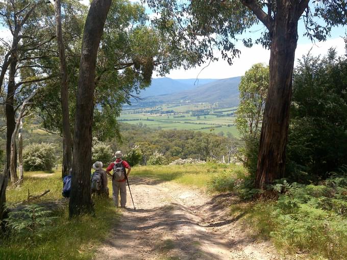 Yarra Valley Wine Tours