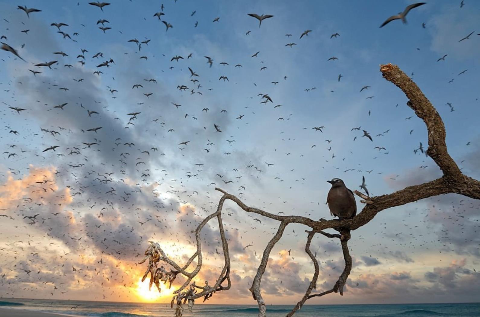 Photography in a Pristine Environment