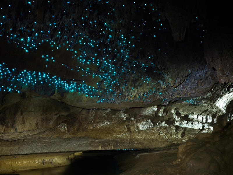Te Anau Glowworm Caves Image